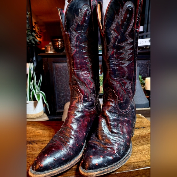 Lucchese Shoes - Lucchese Classic 2000 Full Quill Ostrich leather in a Black Cherry.